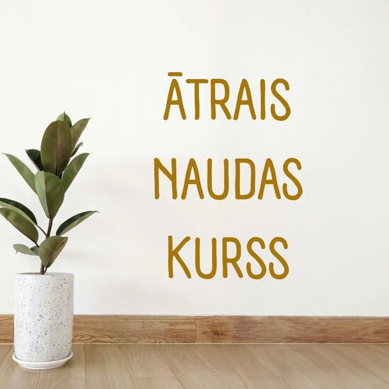Ātrais naudas kurss 